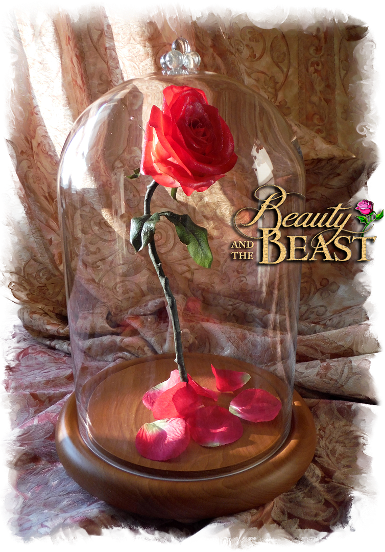 Enchanted Rose Beauty And The Beast Disney Gift Birthday Wedding Engagement